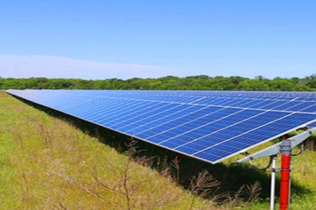 Lightsource BP与百威英博达成无补贴太阳能协议