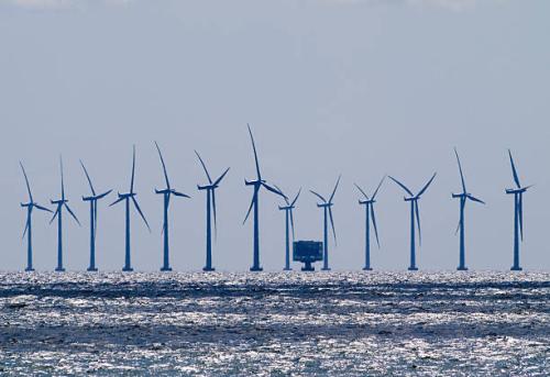 海上风电场对海洋物种的影响