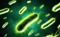 微生物能源作为绿色产生氢气的手段