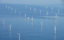 海上风电场对海洋物种的影响