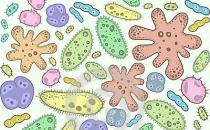 将废水转化为瓦特的微生物电极催化剂