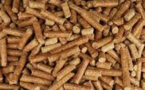 微生物团队将玉米秸秆转化为更好的生物燃料