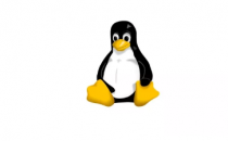 30年后LinusTorvalds仍然对Linux感到高兴