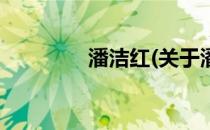 潘洁红(关于潘洁红的简介)