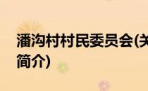 潘沟村村民委员会(关于潘沟村村民委员会的简介)