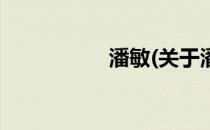 潘敏(关于潘敏的简介)