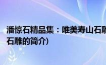 潘惊石精品集：唯美寿山石雕(关于潘惊石精品集：唯美寿山石雕的简介)