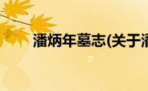 潘炳年墓志(关于潘炳年墓志的简介)