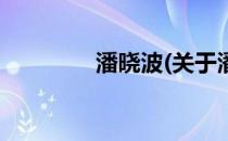 潘晓波(关于潘晓波的简介)