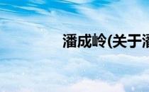 潘成岭(关于潘成岭的简介)
