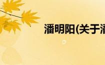 潘明阳(关于潘明阳的简介)