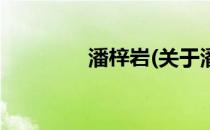 潘梓岩(关于潘梓岩的简介)
