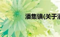 潘集镇(关于潘集镇的简介)