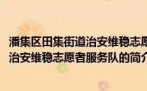 潘集区田集街道治安维稳志愿者服务队(关于潘集区田集街道治安维稳志愿者服务队的简介)