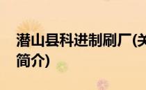 潜山县科进制刷厂(关于潜山县科进制刷厂的简介)
