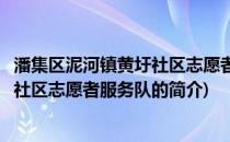潘集区泥河镇黄圩社区志愿者服务队(关于潘集区泥河镇黄圩社区志愿者服务队的简介)