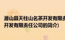 潜山县天柱山名茶开发有限责任公司(关于潜山县天柱山名茶开发有限责任公司的简介)
