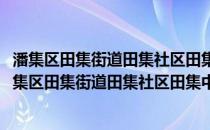 潘集区田集街道田集社区田集中心学校志愿者服务队(关于潘集区田集街道田集社区田集中心学校志愿者服务队的简介)