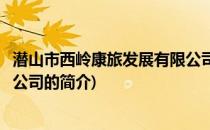 潜山市西岭康旅发展有限公司(关于潜山市西岭康旅发展有限公司的简介)