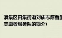 潘集区田集街道刘庙志愿者服务队(关于潘集区田集街道刘庙志愿者服务队的简介)