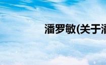 潘罗敏(关于潘罗敏的简介)