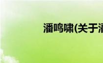 潘鸣啸(关于潘鸣啸的简介)