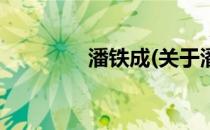 潘铁成(关于潘铁成的简介)