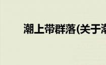 潮上带群落(关于潮上带群落的简介)