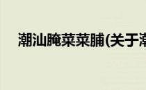 潮汕腌菜菜脯(关于潮汕腌菜菜脯的简介)