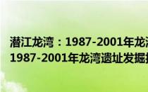 潜江龙湾：1987-2001年龙湾遗址发掘报告(关于潜江龙湾：1987-2001年龙湾遗址发掘报告的简介)