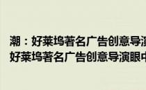 潮：好莱坞著名广告创意导演眼中的30位顶级名流(关于潮：好莱坞著名广告创意导演眼中的30位顶级名流的简介)