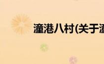 潼港八村(关于潼港八村的简介)