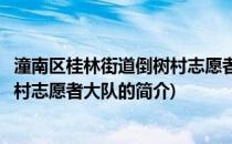 潼南区桂林街道倒树村志愿者大队(关于潼南区桂林街道倒树村志愿者大队的简介)