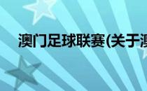 澳门足球联赛(关于澳门足球联赛的简介)