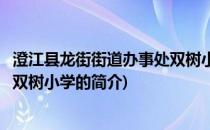 澄江县龙街街道办事处双树小学(关于澄江县龙街街道办事处双树小学的简介)