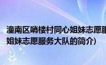 潼南区哨楼村同心姐妹志愿服务大队(关于潼南区哨楼村同心姐妹志愿服务大队的简介)