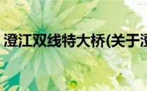 澄江双线特大桥(关于澄江双线特大桥的简介)