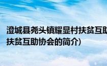 澄城县尧头镇耀显村扶贫互助协会(关于澄城县尧头镇耀显村扶贫互助协会的简介)