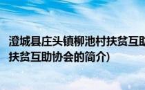 澄城县庄头镇柳池村扶贫互助协会(关于澄城县庄头镇柳池村扶贫互助协会的简介)