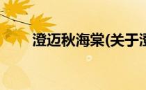 澄迈秋海棠(关于澄迈秋海棠的简介)
