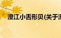 澄江小舌形贝(关于澄江小舌形贝的简介)