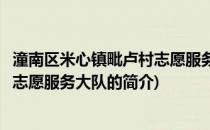 潼南区米心镇毗卢村志愿服务大队(关于潼南区米心镇毗卢村志愿服务大队的简介)
