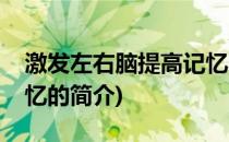 激发左右脑提高记忆(关于激发左右脑提高记忆的简介)