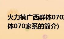 火力楠广西群体070家系(关于火力楠广西群体070家系的简介)