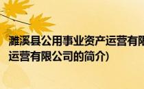 濉溪县公用事业资产运营有限公司(关于濉溪县公用事业资产运营有限公司的简介)