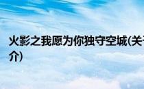 火影之我愿为你独守空城(关于火影之我愿为你独守空城的简介)