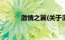 激情之翼(关于激情之翼的简介)