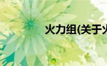 火力组(关于火力组的简介)