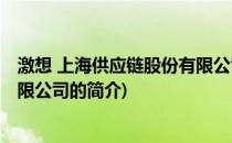 激想 上海供应链股份有限公司(关于激想 上海供应链股份有限公司的简介)