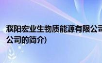 濮阳宏业生物质能源有限公司(关于濮阳宏业生物质能源有限公司的简介)